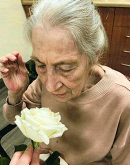 MARCOTULLIO, Patricia Elaine (née Dyce)