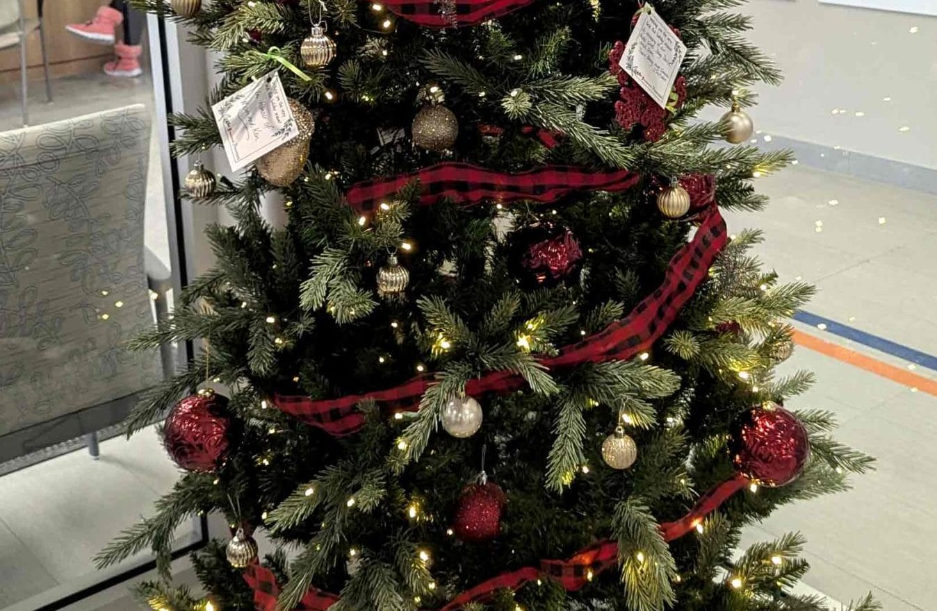 Louise Marshall Hospital Foundation to ‘light up’ hospital until Dec. 23