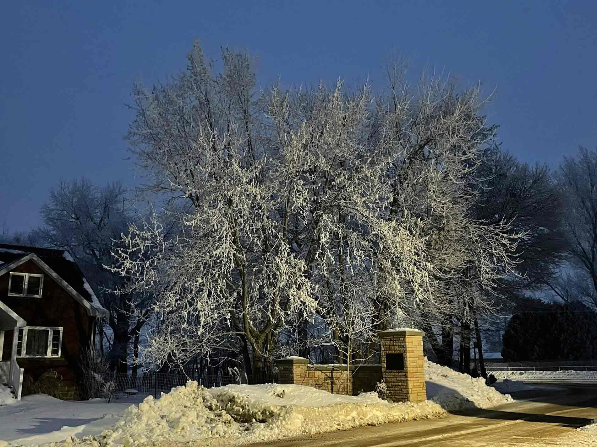 Ice storm hits north Wellington communities
