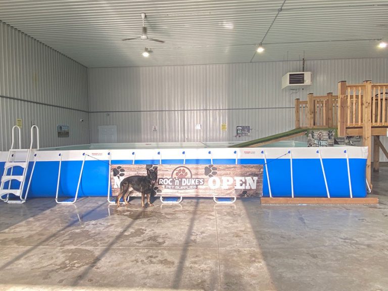 New training, dock diving aquatic centre making a splash with dogs in