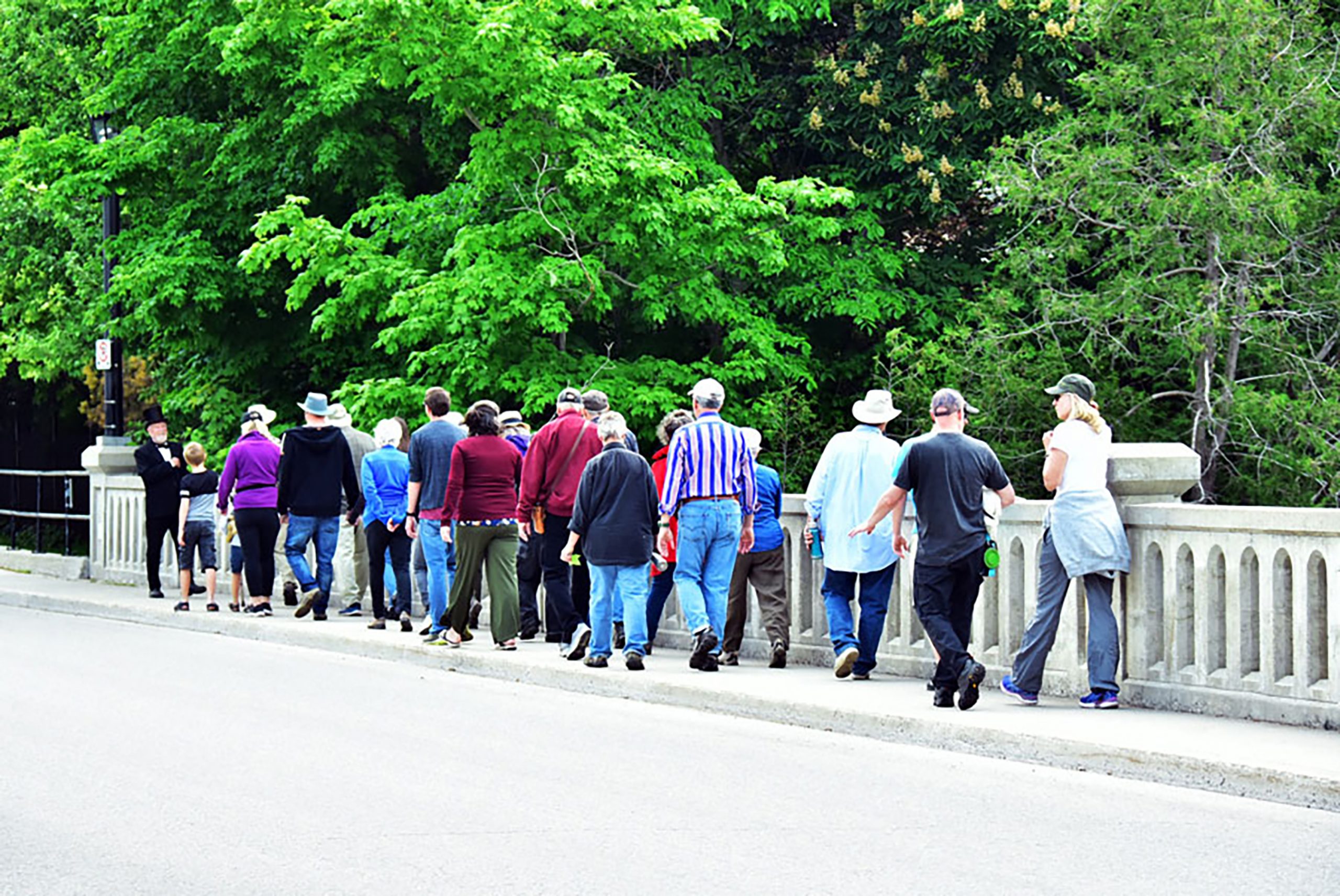 Tree walkers explore Elora